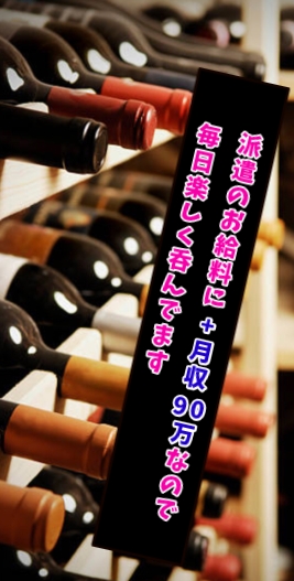 派遣のお給料に＋月収90万円なので、毎日楽しく呑んでます。