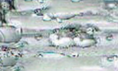 7図柄リーチハズレ