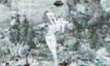 仕草予告で腕伸ばし発生