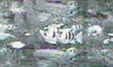 中央ライン5図柄でイカリーチ発生