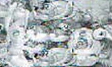 アングル予告・右から美ら珊瑚礁リーチ