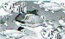 チャンスアップありのシャチリーチハズレ