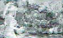 アングル予告・右からヤドカリ連発して出現