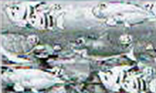 7・8図柄でノーマルリーチ発生