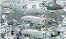 図柄前兆予告発生