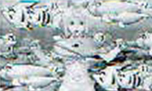 マリンちゃんリーチ発生